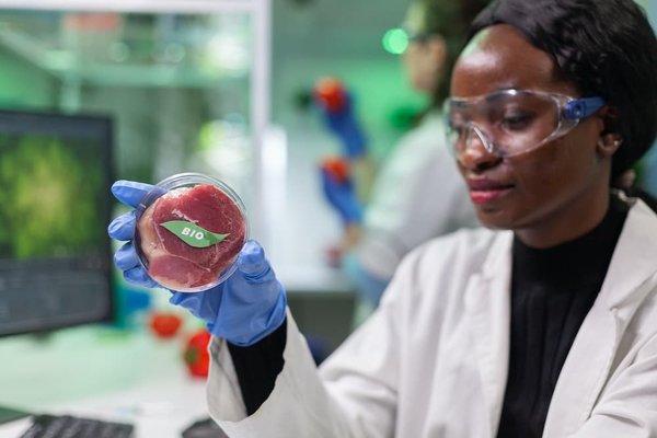 Peut-on réaliser des boulettes végétariennes légères sans friture ?